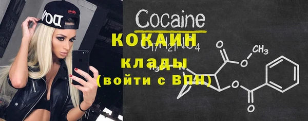 прущие грибы Абаза