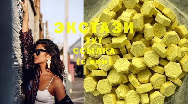 прущие грибы Абаза