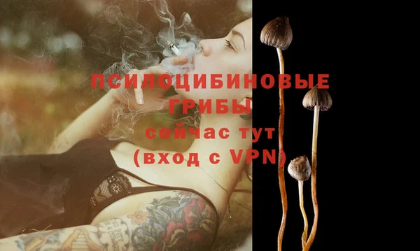 синтетический гашиш Абинск
