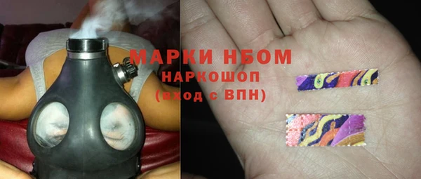 прущие грибы Абаза