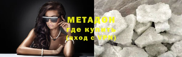 прущие грибы Абаза