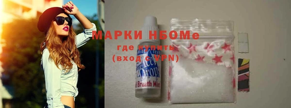 прущие грибы Абаза
