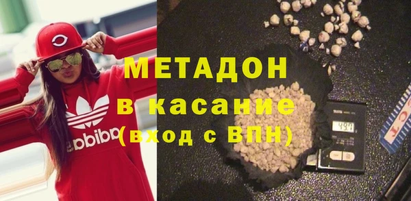 прущие грибы Абаза