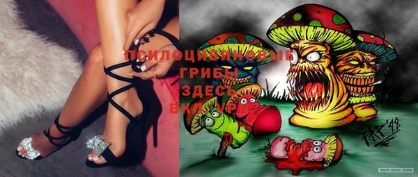 ECSTASY Абдулино