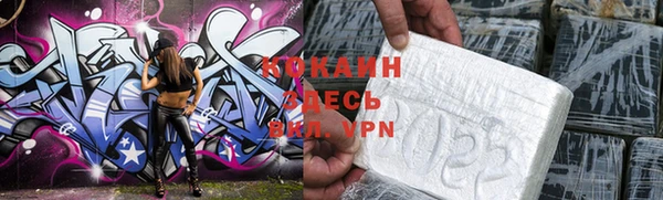 прущие грибы Абаза