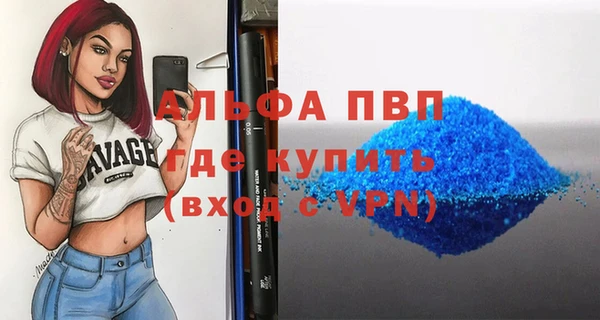 прущие грибы Абаза