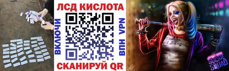 где купить наркотик  Шилка  Лсд 25 экстази ecstasy 