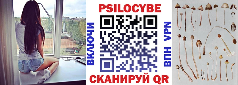 закладки OMG вход Псилоцибиновые грибы Magic Shrooms Шилка