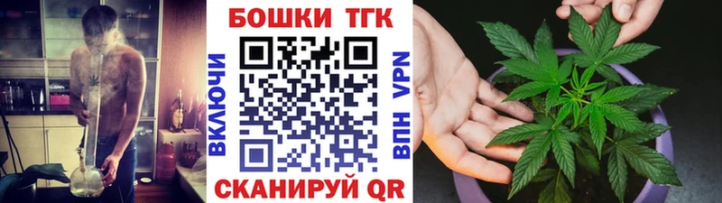цена наркотик  Шилка  Канабис сатива 